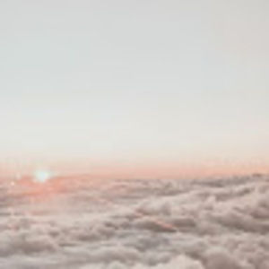 Meet your Posher, Joy